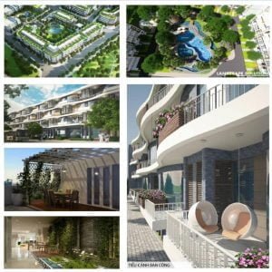 Dự án Thủ Thiêm Lake View của CII