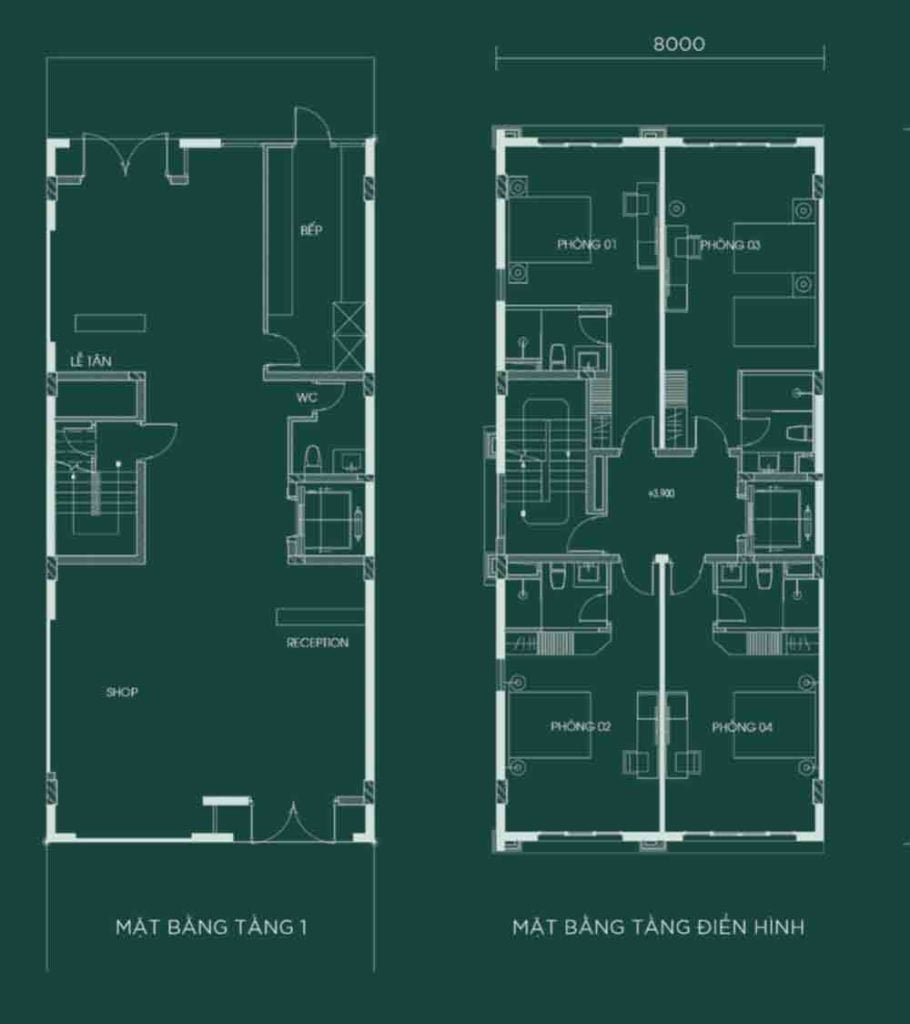 Mẫu Shophouse A2