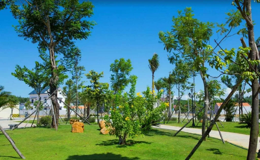 Hình chụp thực tế khu dân cư