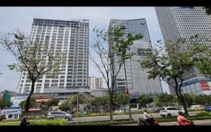 Dự án 152 Điện Biên Phủ