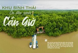 Khu du lịch sinh thái Cần Giờ