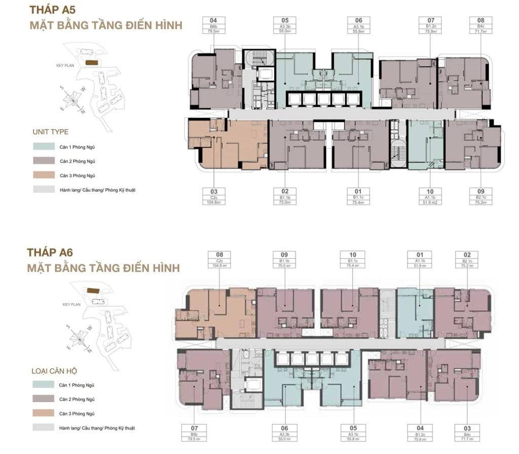 Mặt bằng căn hộ tháp A5 và A6