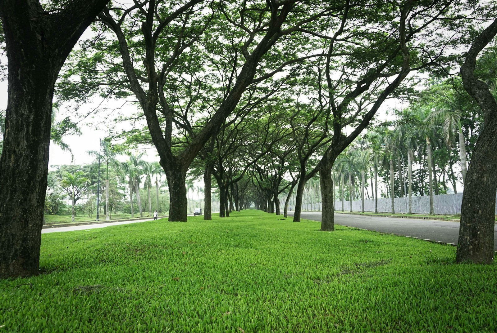 Công viên Vinhomes Central Park rộng 14ha ven sông