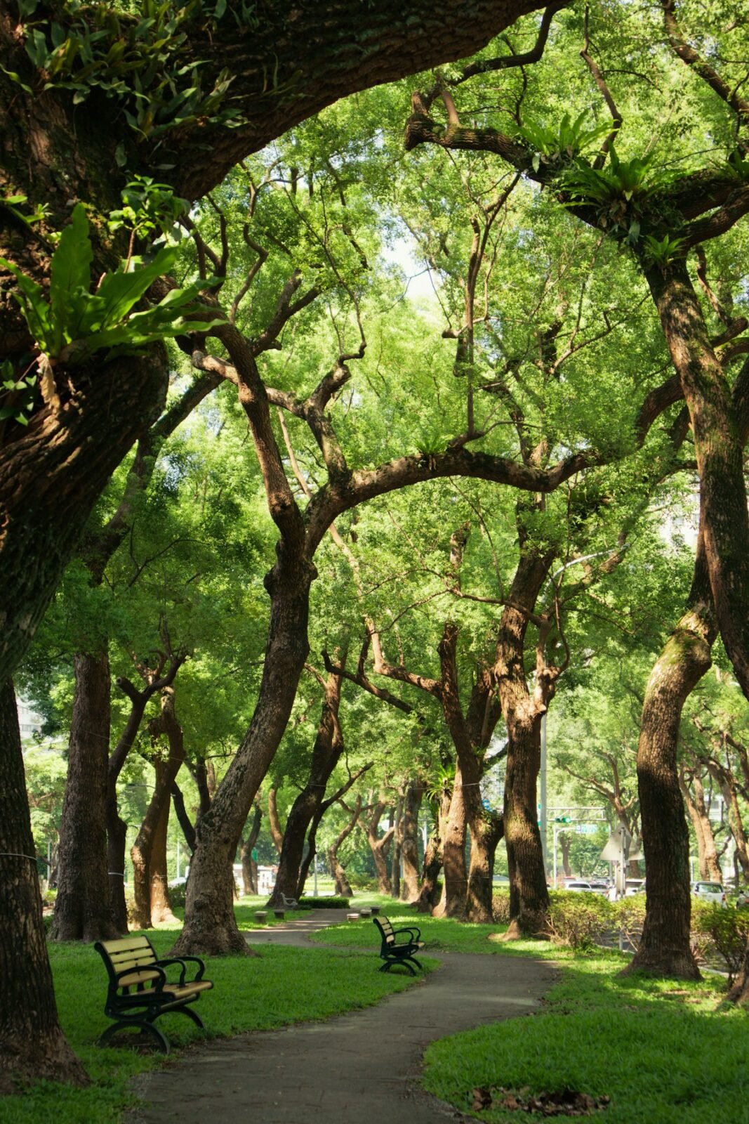 Công viên cây xanh nội khu Vinhomes Saigon Park Hóc Môn