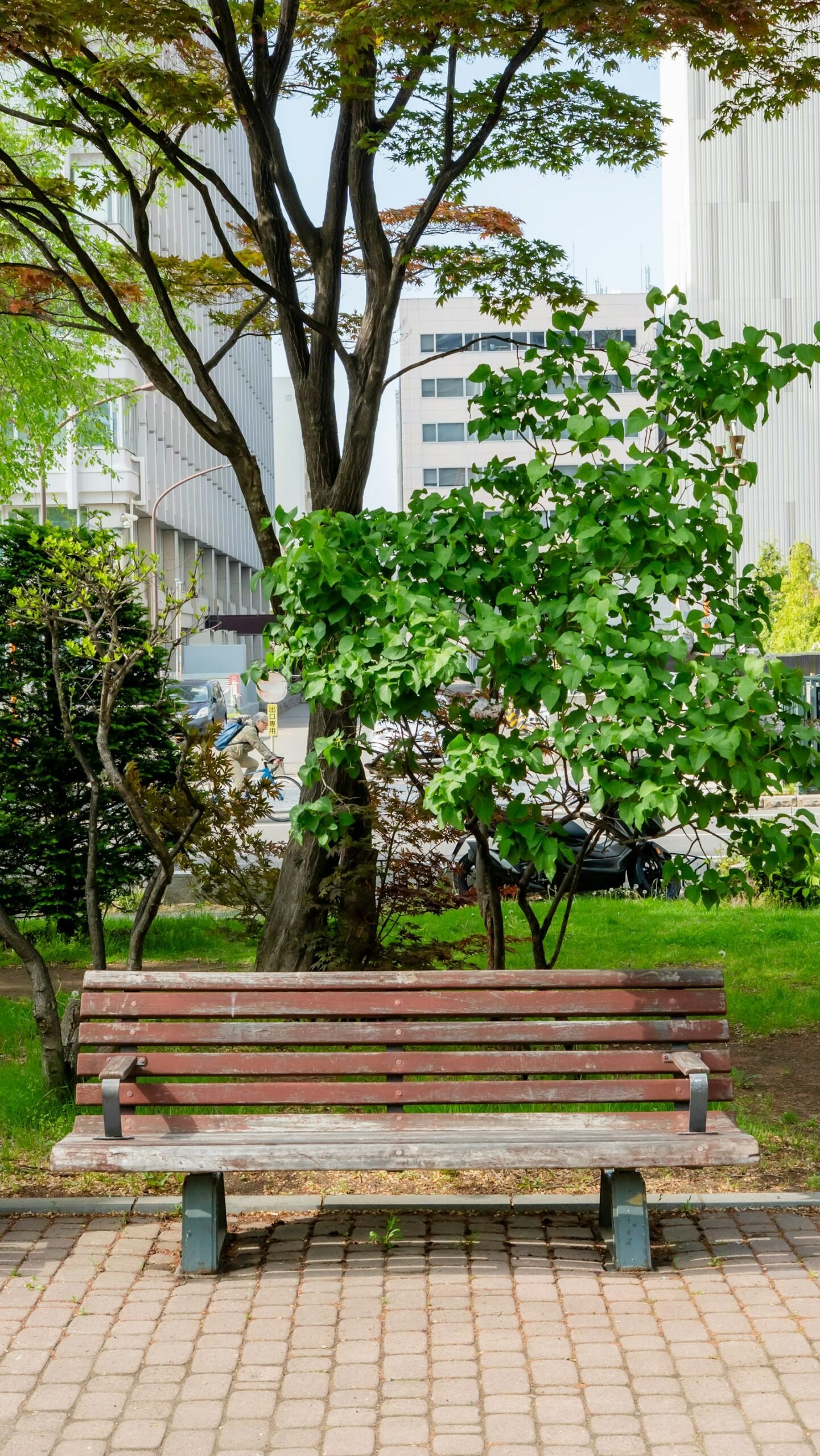 Công viên tiện ích nội khu khu đô thị xanh Mizuki Park