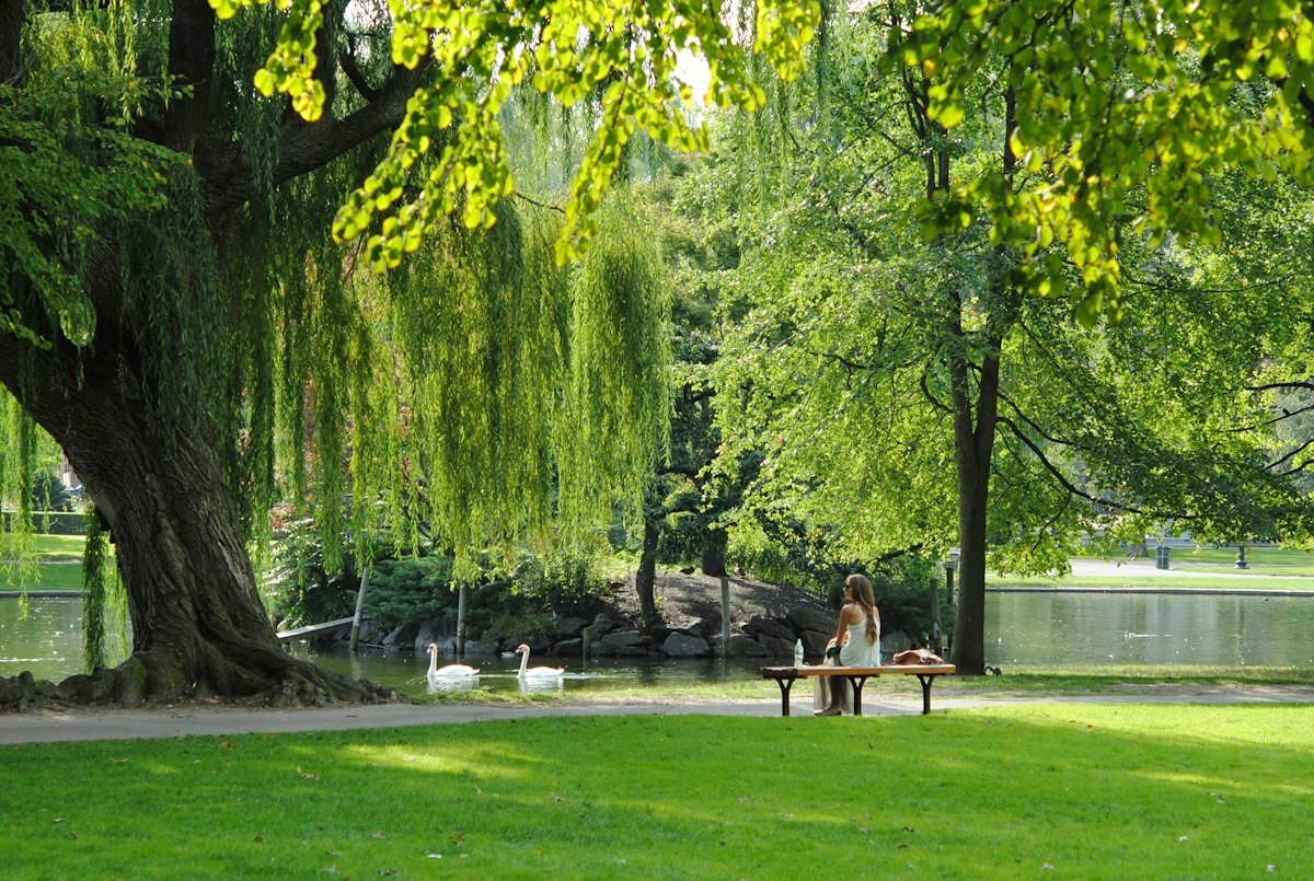 Không gian cây xanh mặt nước tại khu đô thị Vinhomes King Park