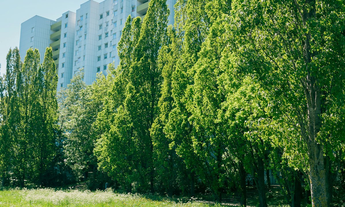 Không gian xanh khu đô thị minh họa mật độ xây dựng thấp của Vinhomes Saigon Park Hóc Môn